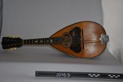 mandolin